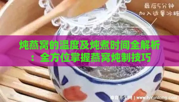 炖燕窝的温度及炖煮时间全解析：全方位掌握燕窝炖制技巧