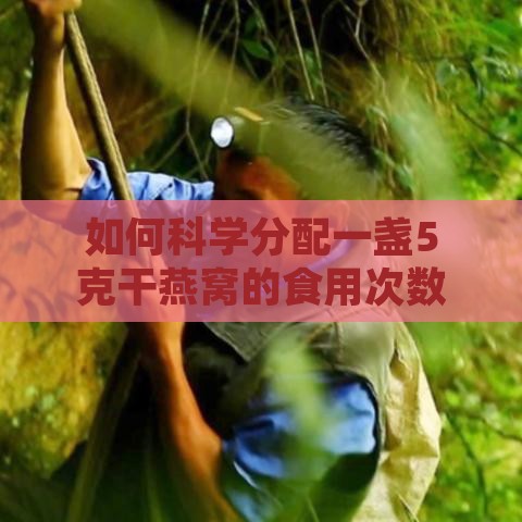 如何科学分配一盏5克干燕窝的食用次数与建议食用方案