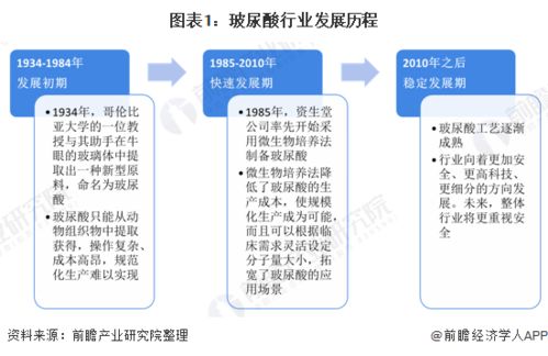 '鲜炖燕窝实体店年度盈利分析：深入探究利润状况与增长潜力'