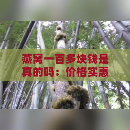 燕窝一百多块钱是真的吗：价格实惠的燕窝能吃吗，一百多的燕窝有用吗？