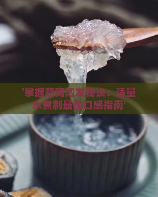 '掌握燕窝泡发秘诀：适量水煮制更佳口感指南'