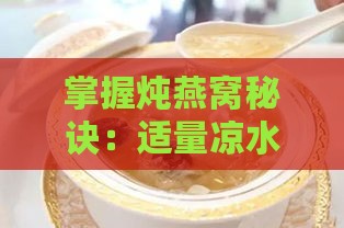 掌握炖燕窝秘诀：适量凉水添加，打造美味口感