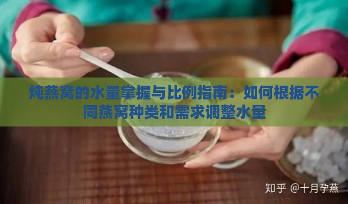 炖燕窝的水量掌握与比例指南：如何根据不同燕窝种类和需求调整水量