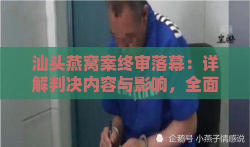 汕头燕窝案终审落幕：详解判决内容与影响，全面回顾案件始末