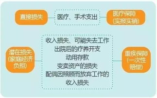 进口燕窝一斤多少钱：溯源保障下的价格揭秘