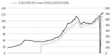 印尼50克燕窝最新市场价格及影响因素分析