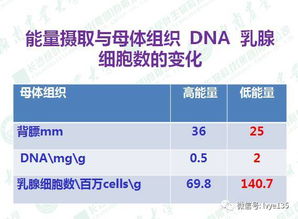 探究燕窝果的含糖量：营养分析与健康影响