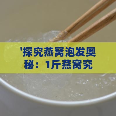 '探究燕窝泡发奥秘：1斤燕窝究竟能膨胀至几斤水？'