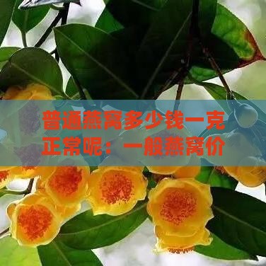 普通燕窝多少钱一克正常呢：一般燕窝价格与一斤售价解析