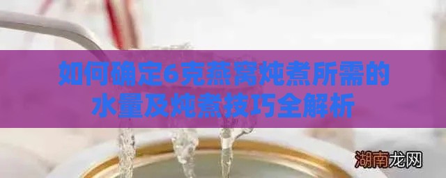 如何确定6克燕窝炖煮所需的水量及炖煮技巧全解析