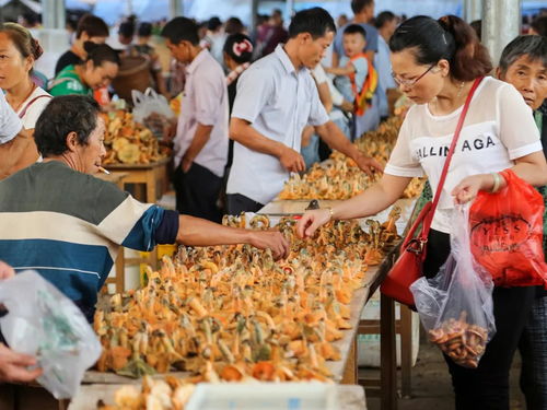 宜宾燕窝市场调查：当地燕窝售价及一斤价格一览