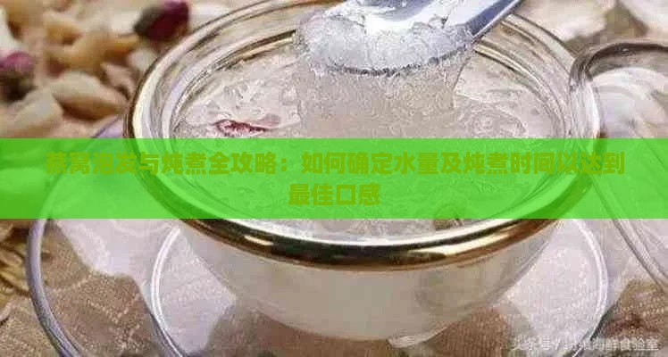 燕窝泡发与炖煮全攻略：如何确定水量及炖煮时间以达到更佳口感