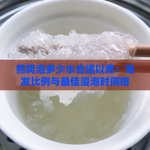 燕窝泡多少水合适以煮：泡发比例与更佳浸泡时间指南