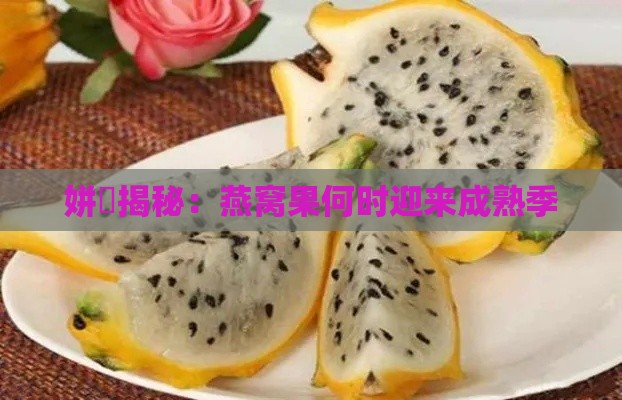 姘斿揭秘：燕窝果何时迎来成熟季