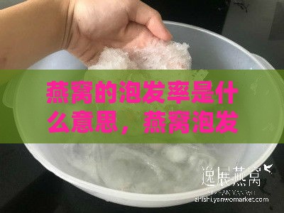 燕窝的泡发率是什么意思，燕窝泡发率高低影响及意义解析