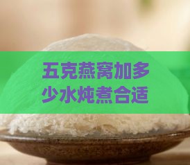 五克燕窝加多少水炖煮合适：炖与煮的正确水量指南