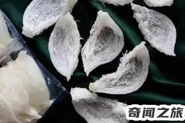 燕窝价格一览：不同类型散装燕窝的市场价格与购买指南