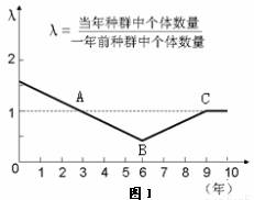 燕窝果种植密度与产量分析：每亩产量及影响因素详解