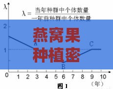 燕窝果种植密度与产量分析：每亩产量及影响因素详解