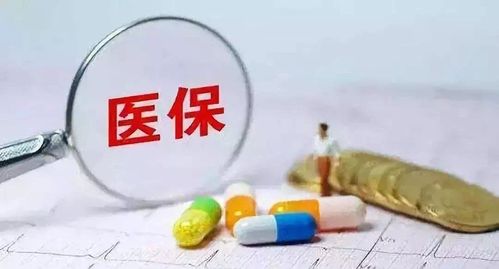 印尼燕窝价格一览：完整指南解析购买燕窝的费用与注意事项