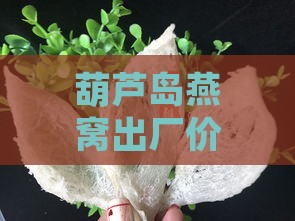 葫芦岛燕窝出厂价格多少