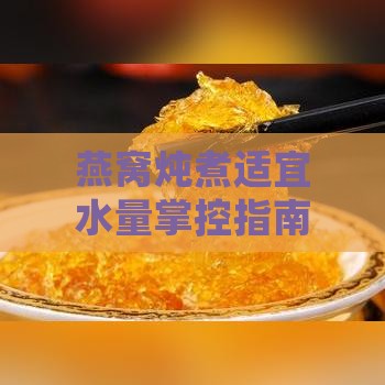 燕窝炖煮适宜水量掌控指南：水量如何恰到好处