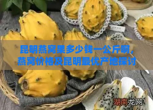 昆明燕窝果多少钱一公斤啊，燕窝价格及昆明更优产地探讨