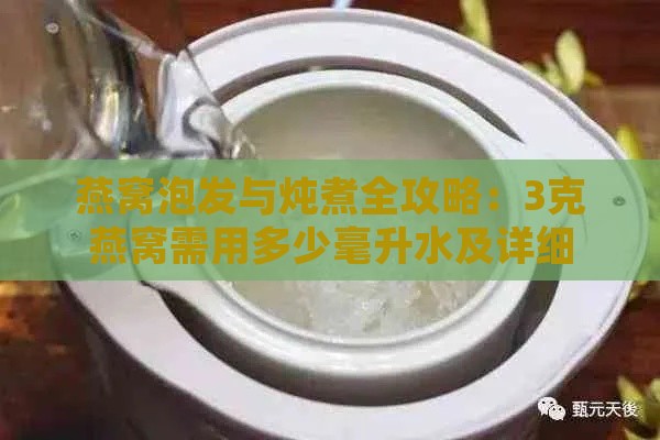 燕窝泡发与炖煮全攻略：3克燕窝需用多少毫升水及详细步骤解析