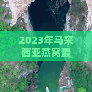 2023年马来西亚燕窝最新现货价格及市场趋势分析：吨价详查与购买指南