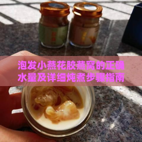 泡发小燕花胶燕窝的正确水量及详细炖煮步骤指南