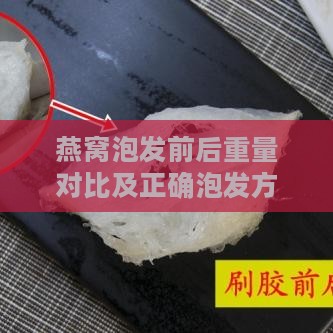 燕窝泡发前后重量对比及正确泡发方法解析