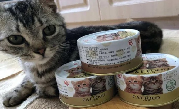 一盒燕窝猫罐头多少克啊