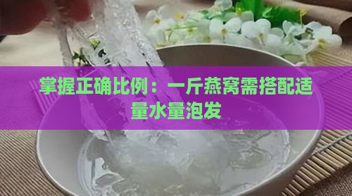 掌握正确比例：一斤燕窝需搭配适量水量泡发