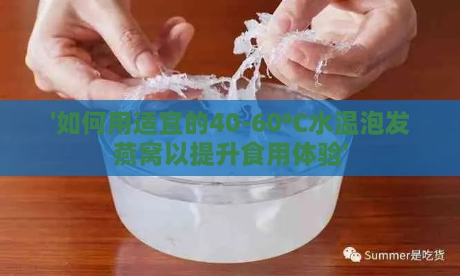 '如何用适宜的40-60℃水温泡发燕窝以提升食用体验'