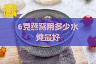 6克燕窝用多少水炖更好