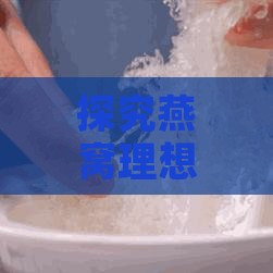 探究燕窝理想泡发率：多少倍数为标准？