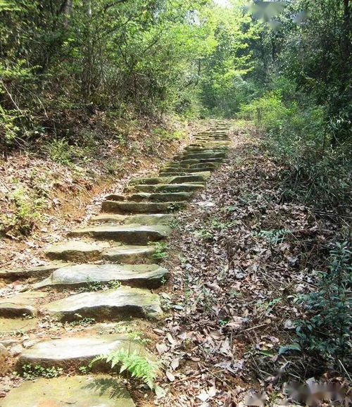 探秘余姚燕窝村：徒步古道、欣赏自然风光、体验古村魅力的一日游攻略