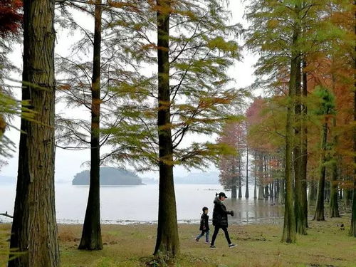 探秘余姚燕窝村：徒步古道、欣赏自然风光、体验古村魅力的一日游攻略