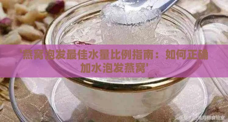 '燕窝泡发更佳水量比例指南：如何正确加水泡发燕窝'