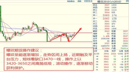 最新市场行情：高品质真品燕窝价格解析