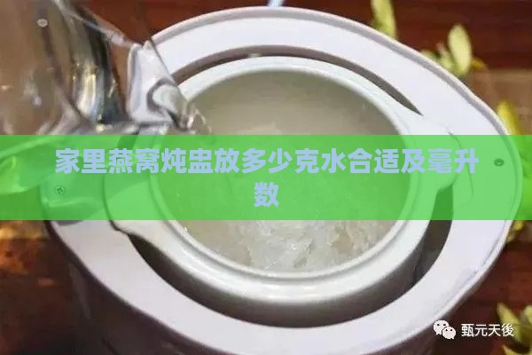 家里燕窝炖盅放多少克水合适及毫升数