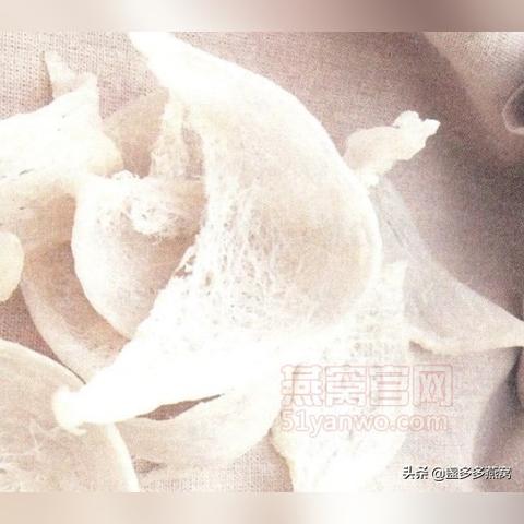 燕窝冷藏要求高吗多少度以上合适及食用温度指南