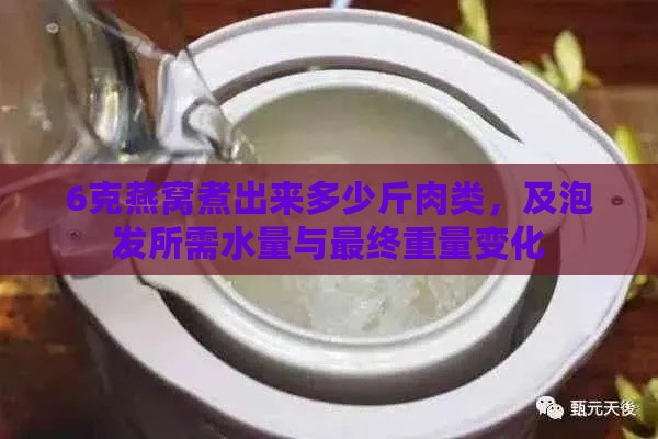 6克燕窝煮出来多少斤肉类，及泡发所需水量与最终重量变化