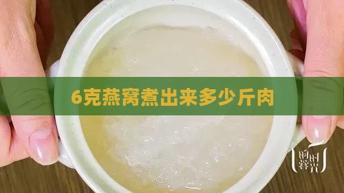 6克燕窝煮出来多少斤肉