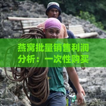 燕窝批量销售利润分析：一次性购买20斤能赚多少回报