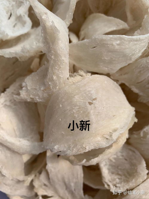 燕窝价格指南：每克燕窝合理价位解析