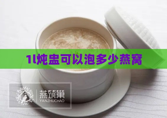 1l炖盅可以泡多少燕窝