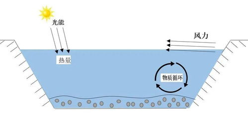 燕窝泡发更佳水温指南：热水泡制温度探讨