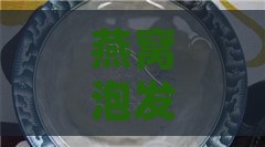 燕窝泡发更佳水温指南：热水泡制温度探讨