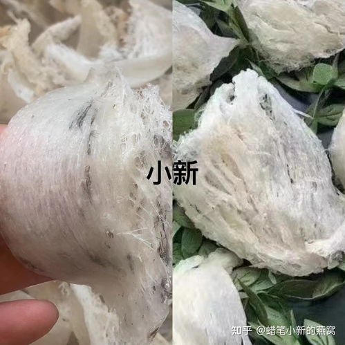 燕窝泡发温度指南：不同种类燕窝的更佳泡发温度与时间解析